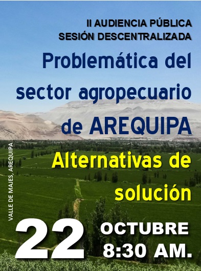 Afiche Audiencia Pública Arequipa 2016