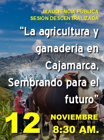 Afiche Audiencia Pública Cajamarca 2016