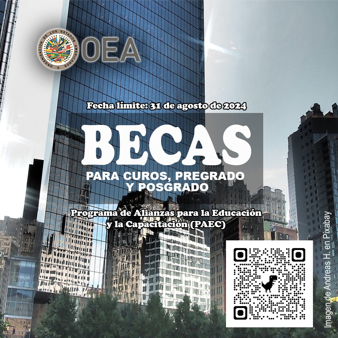 BECAS OEA (PAEC)