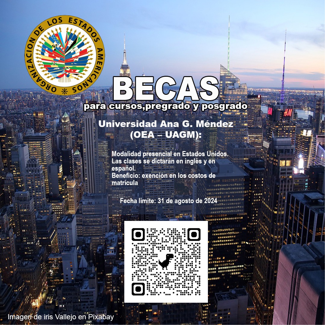 oea 08-2024