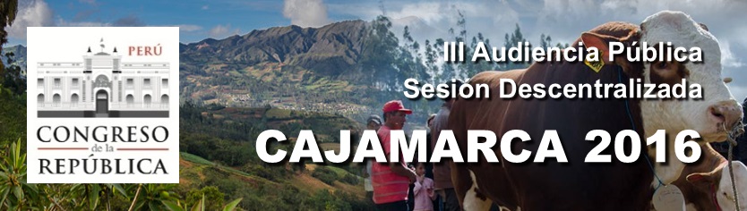 Afiche Audiencia P&uacute;blica Cajamarca 2016
