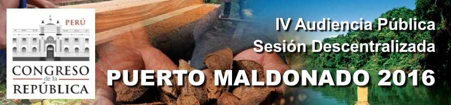 Afiche Audiencia P&uacute;blica Madre de Dios 2016