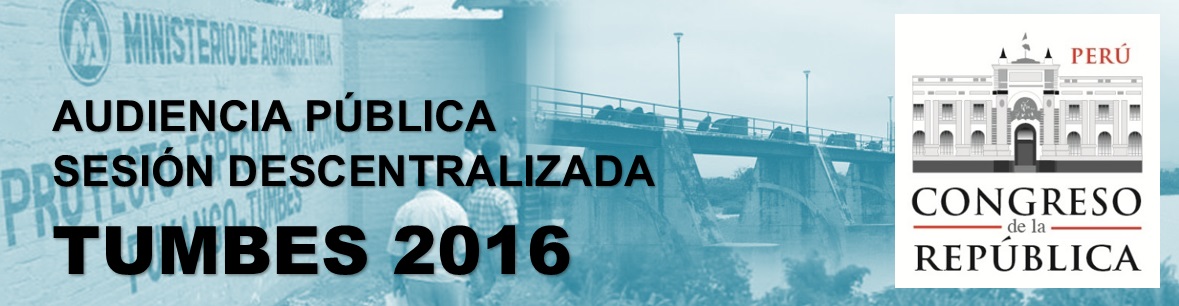 Afiche Audiencia P&uacute;blica Tumbes 2016