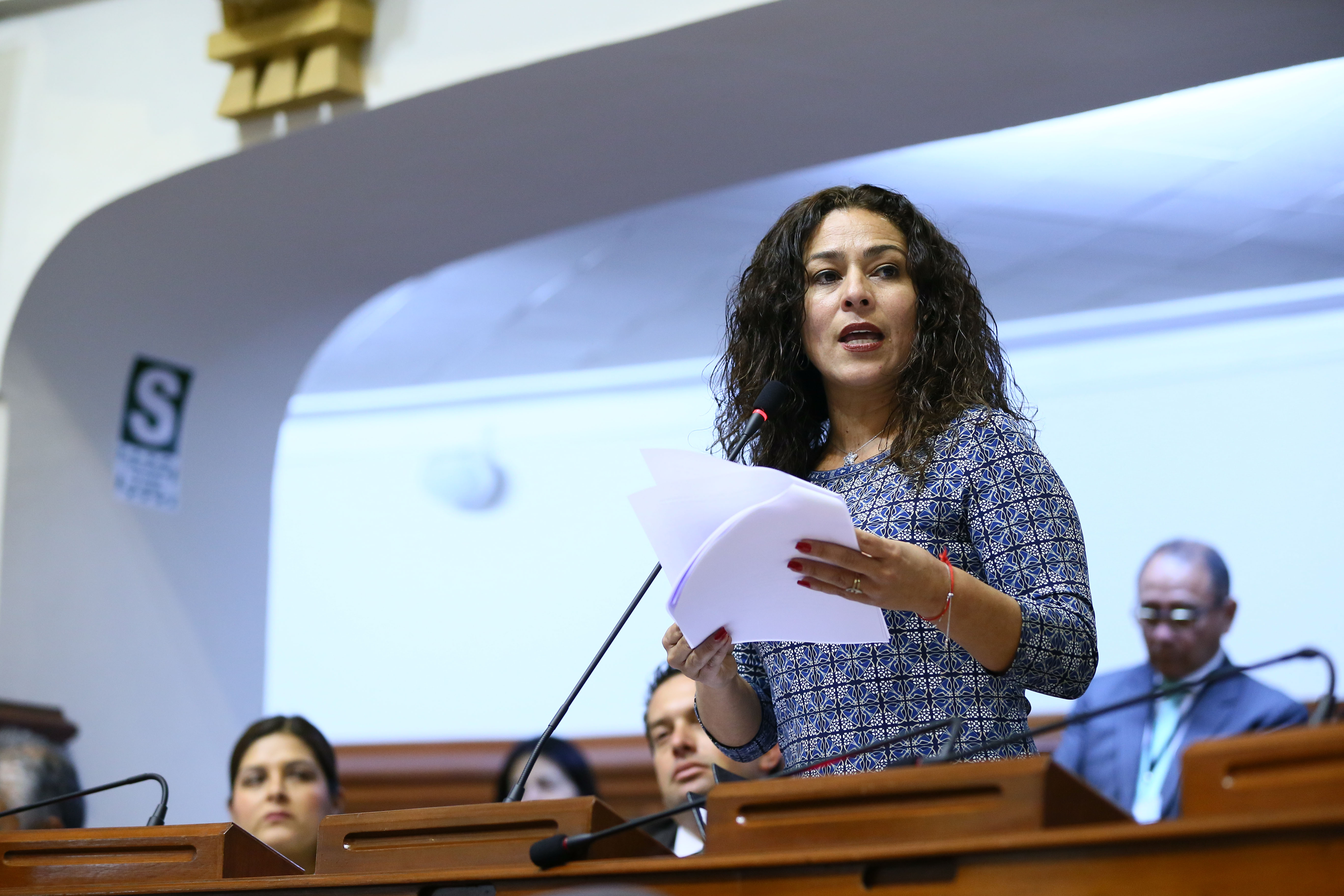 Cecilia Chacón exposición dictamen Presupuesto 2017