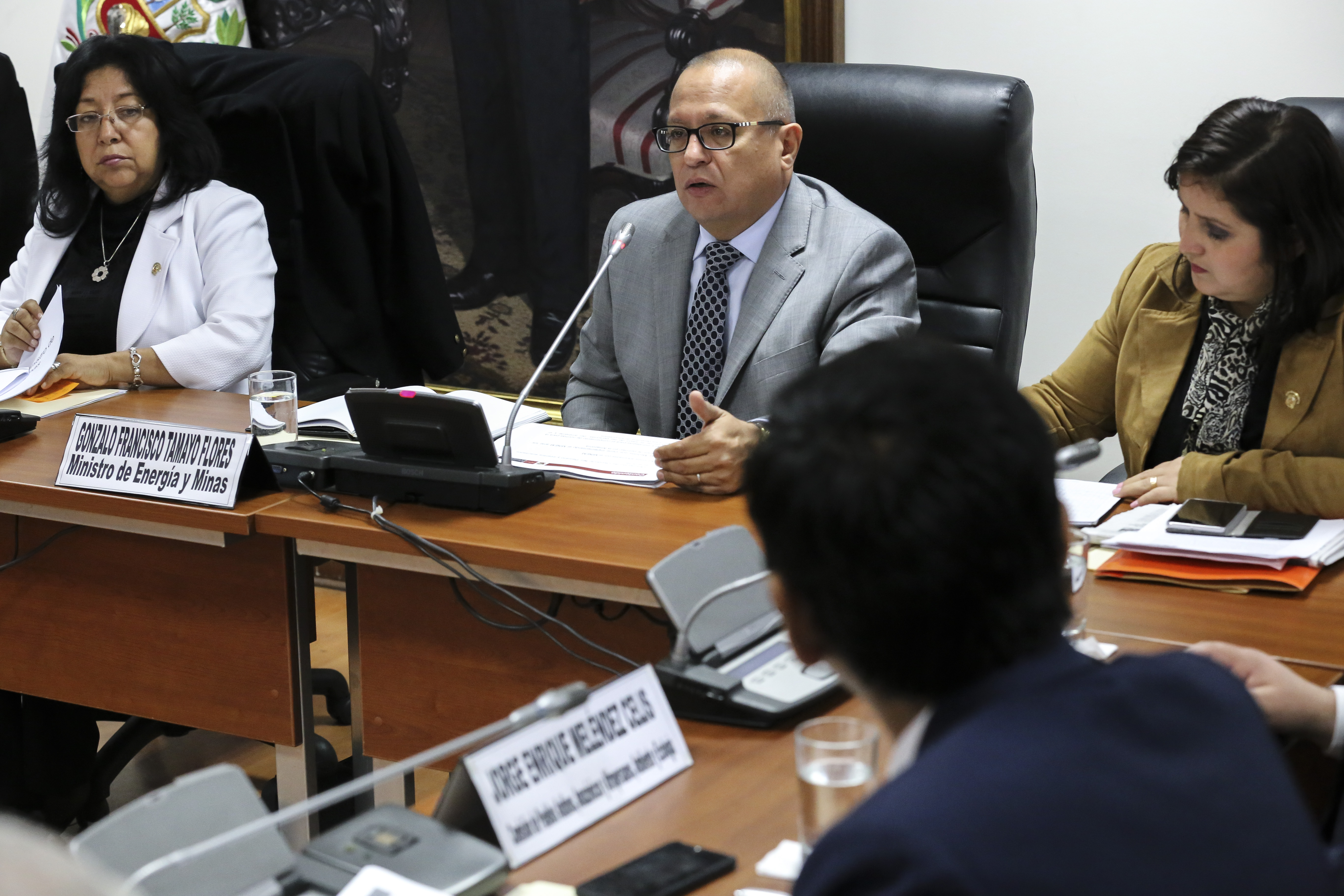 Ministro de Energia y Minas asistió a Sesion Ordinaria de Congreso