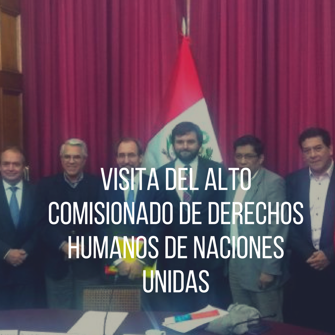 visita alto comisionado