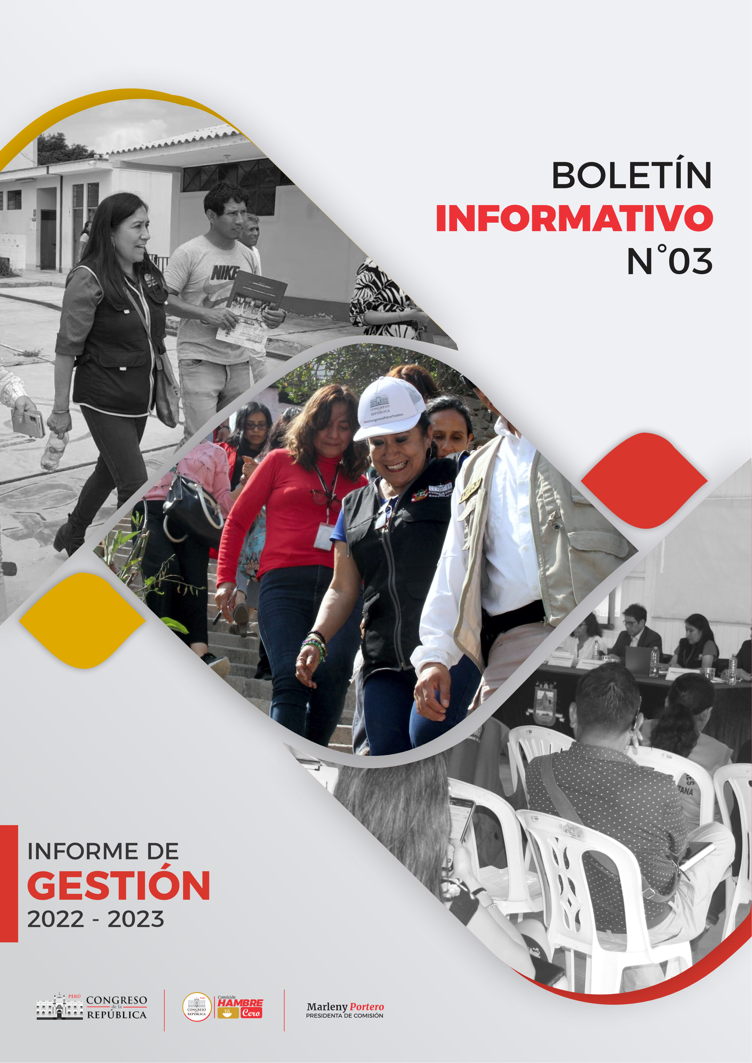 portada boletin