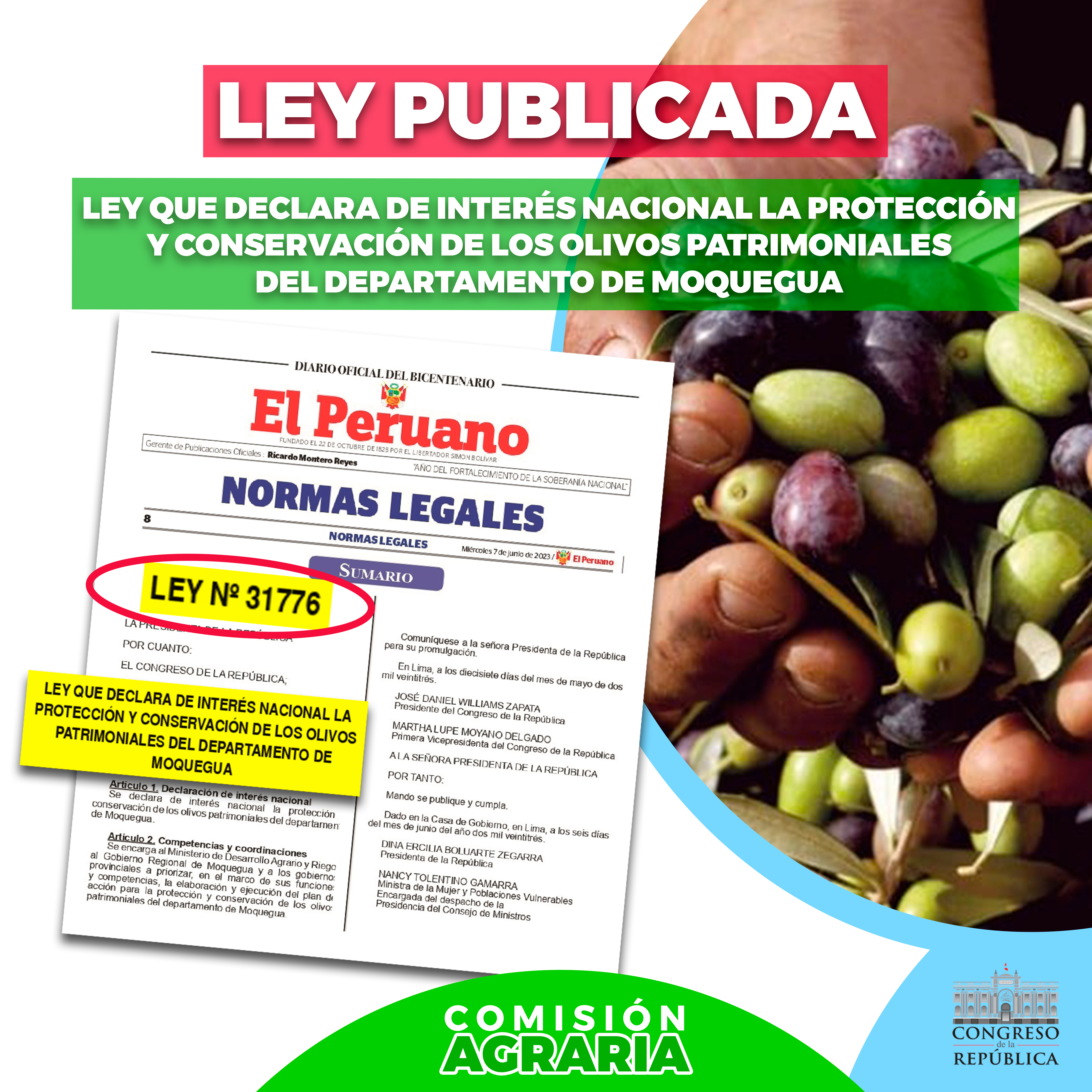 LEY PUBLICADA OLIVOS PATRIMONIALES