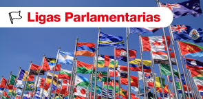 Ligas Parlamentarias
