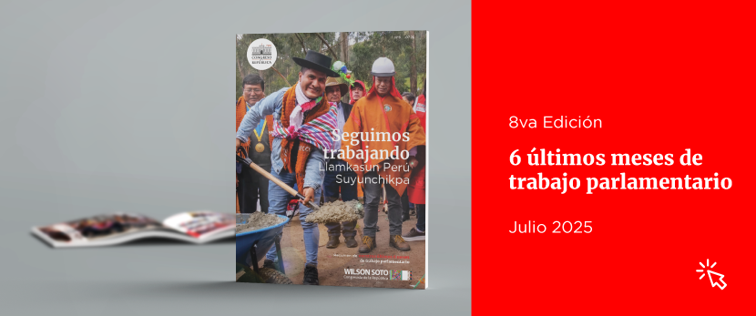 Revista N8