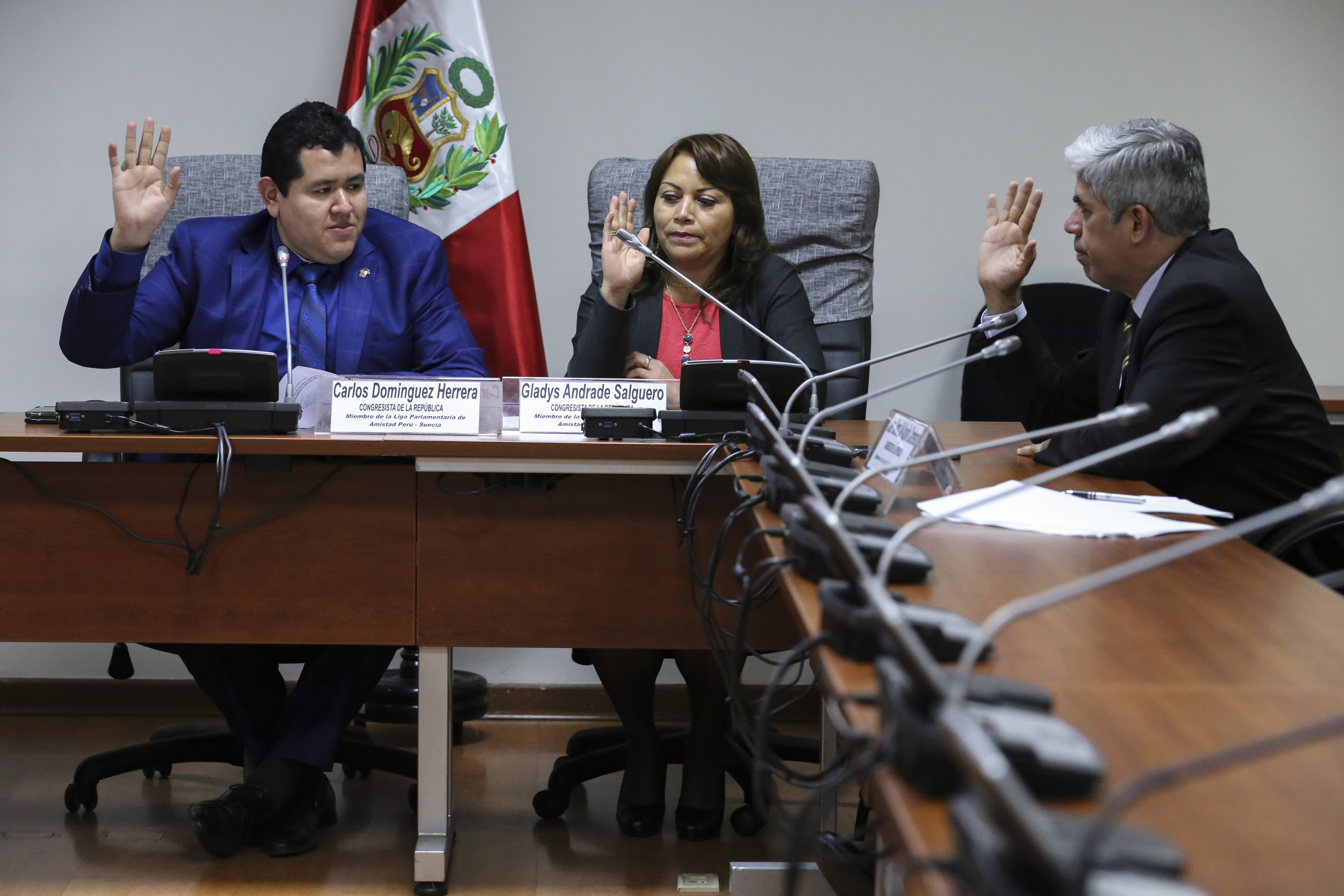 Instalación LPA Perú - Suecia