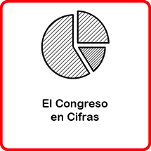 El Congreso en cifras